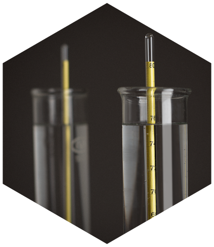 Portada base grapa sin añejar