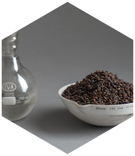 Portada semillas de uva seca